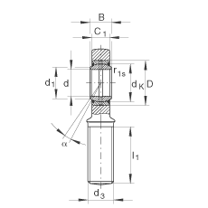 桿端軸承 GAR40-DO-2RS, 根據(jù) DIN ISO 12 240-4 標準，帶右旋外螺紋，需維護，兩側唇密封